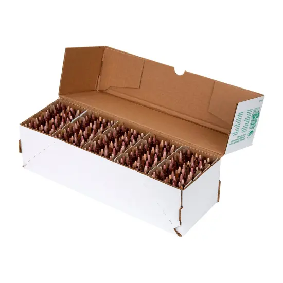 Colors of the World Classpack, 480 Crayons {3}