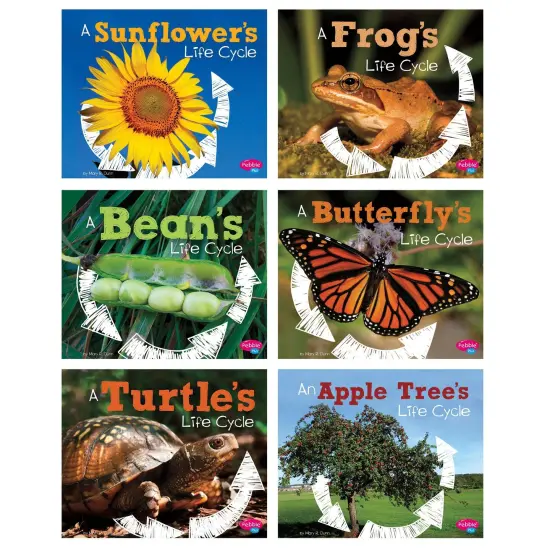 Explore Life Cycles, Set of 6 books {1}