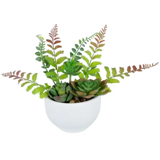 Northlight Potted Artificial Mixed Succulent Fern Plant - 11.5" Green {4}