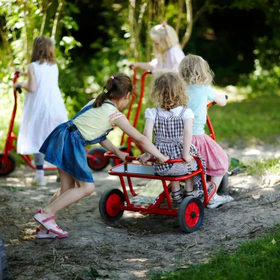 Viking Twin Taxi Tricycle {6}