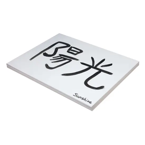 Medium Weight Tagboard, White, 18" x 24", 100 Sheets {2}