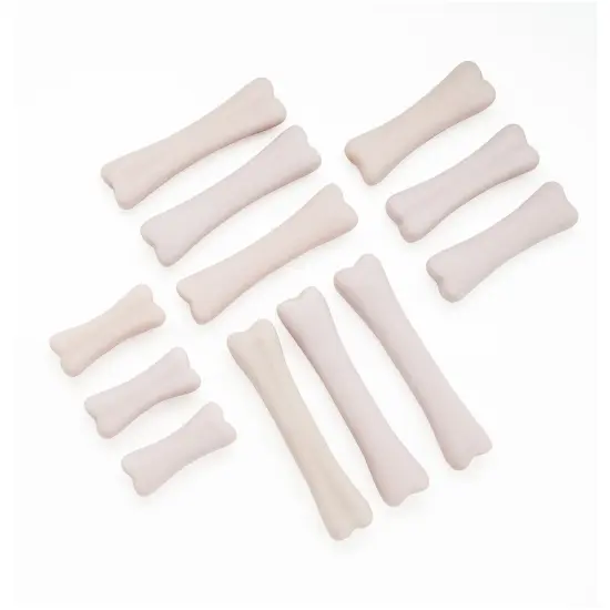 Dinosaur Bones Discovery Set, Pack of 12 {1}