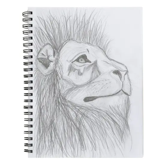 Poly Cover Sketch Book, Heavyweight, 12" x 9", 75 Sheets, Pack of 3 {2}