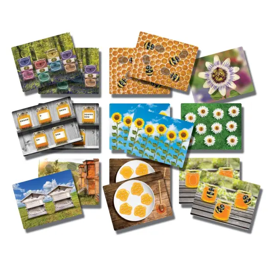 Honey Bee Early Number Cards, Set of 16 {1}
