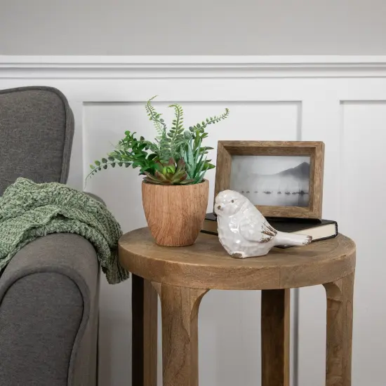 Northlight Potted Artificial Mixed Succulents and Fern Arrangement - 12" Brown {3}