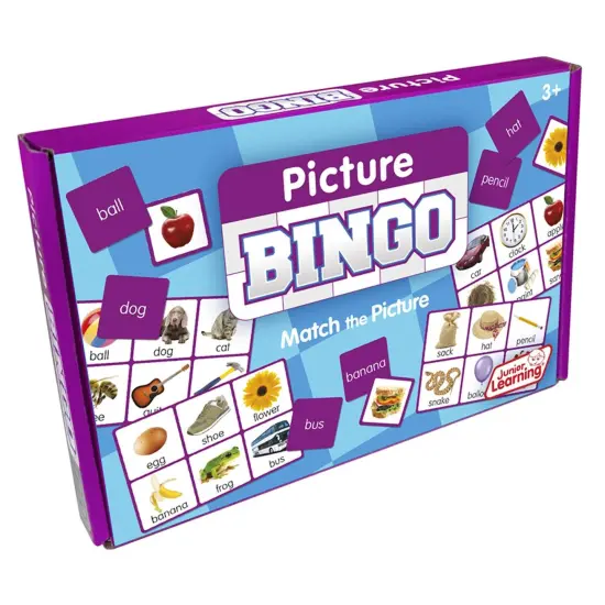 Picture Bingo, Pack of 2 {2}