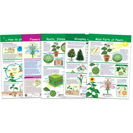 All About Plants Bulletin Board Charts, Set of 5 {1}