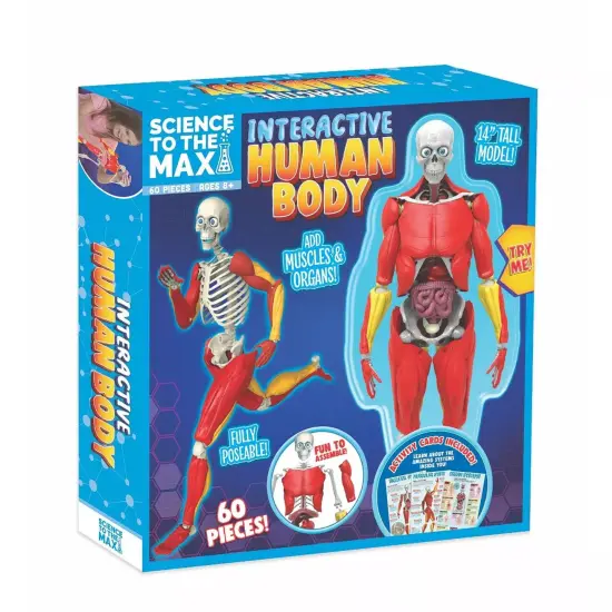 Interactive Human Body {2}