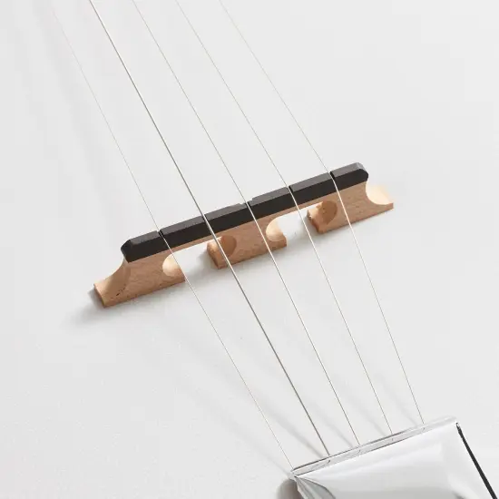 Jameson Guitars 5-String Banjo 24 Bracket with Closed Solid Back and Geared 5th Tuner {6}