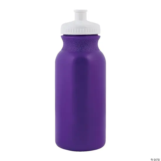 Bulk 50 Ct. Plastic Water Bottles | RAHEEV&reg; Purple {1}