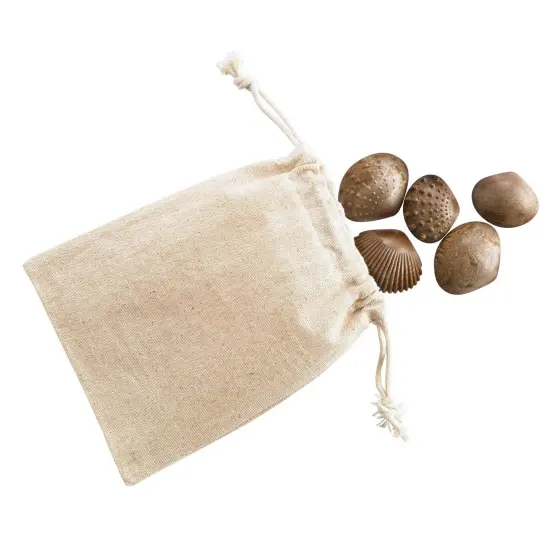 Tactile Shells - Eco-Friendly - 36 Pieces, 6 Textures, 3 Sizes - Ages 18m+ {3}