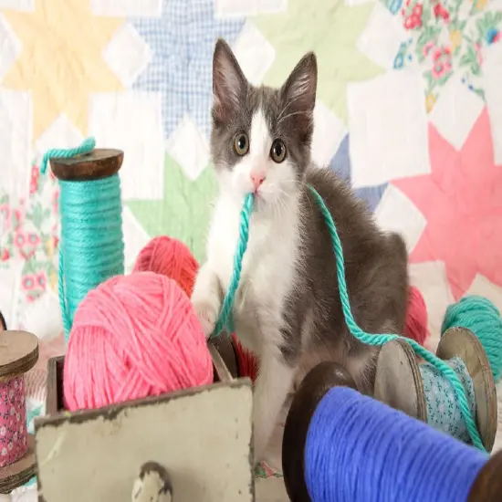 Sunsout Knitter's Helper 300 pc Jigsaw Puzzle 72103 {1}