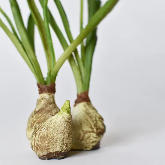 10" Faux Standing Snowdrop w/Bulb {3}