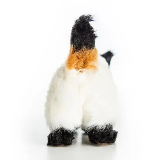 The Queen's Treasures Siamese Kitty Cat Pet For 18 Inch Dolls {6}