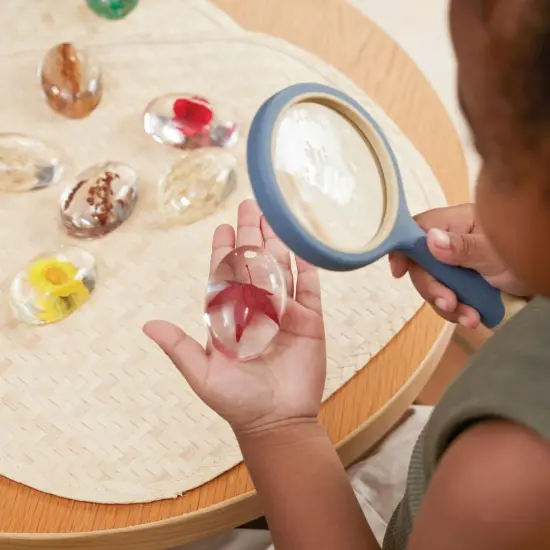 Kaplan Early Learning Company Specimen Stones: Plants - 9 Pieces {4}