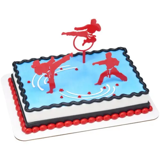 Martial Arts Cake Kit {2}