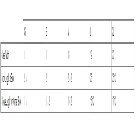 RADYAN&reg; Youth Crew Neck Short Sleeve T-Shirt Royal {4}