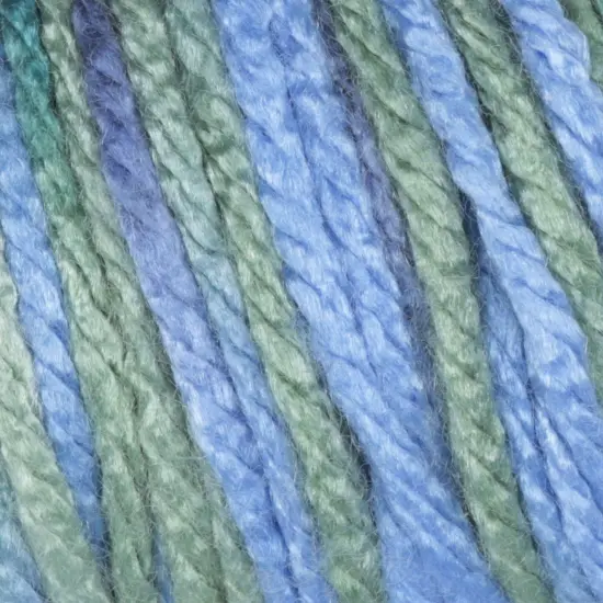 Caron Simply Soft Paints Yarn {1}