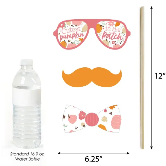 Big Dot of Happiness Girl Little Pumpkin - Fall Birthday Party or Baby Shower Photo Booth Props Kit - 20 Count {6}