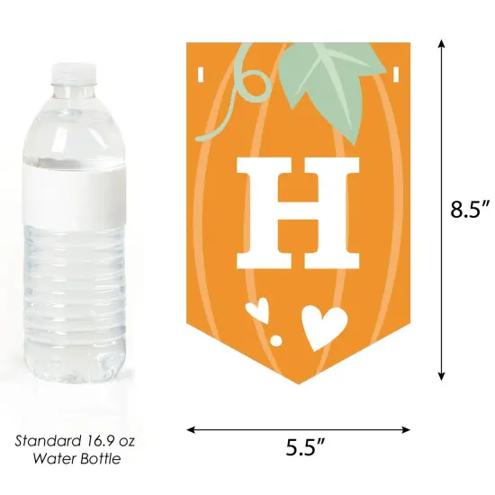 Big Dot of Happiness Little Pumpkin - Fall Birthday Party Bunting Banner - Party Decorations - Happy Birthday {4}