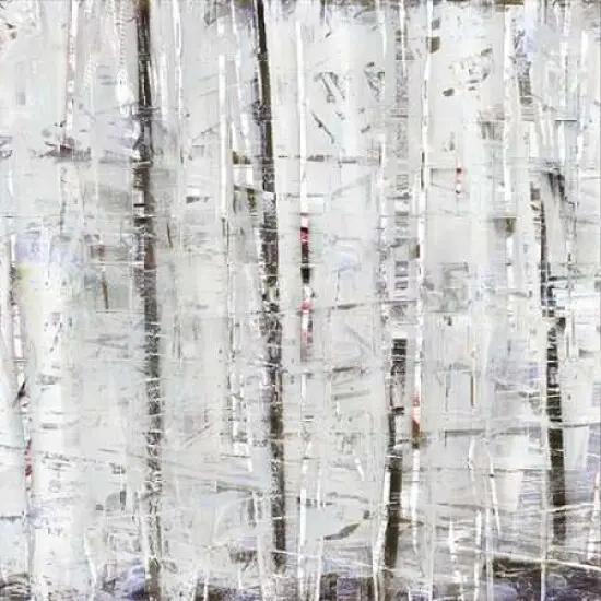 Birch Perspective Grey IV Poster Print by John Bingham {2}