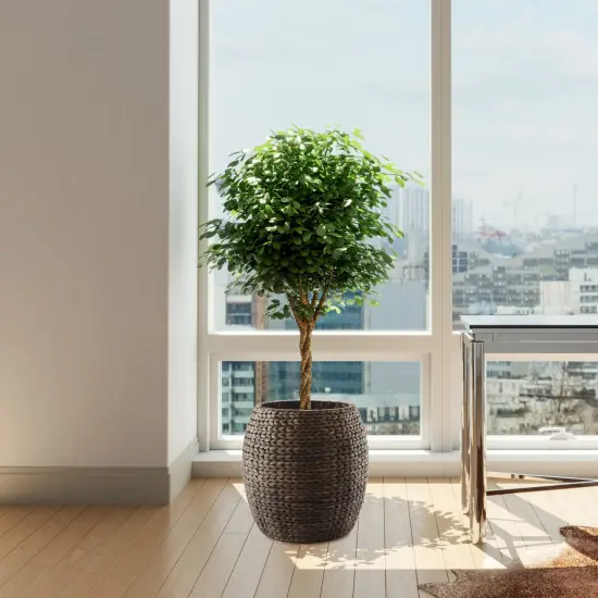 Casafield Round Storage Basket with Lid, Handwoven Water Hyacinth Organizer for Laundry, Blankets, Plants, Bedroom, Living Room, Home Office {6}