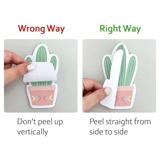 Wrapables Cute Cactus Succulents Sticky Notes, Adhesive Memo Notepads for Home, Office, Work (Set of 6) {3}