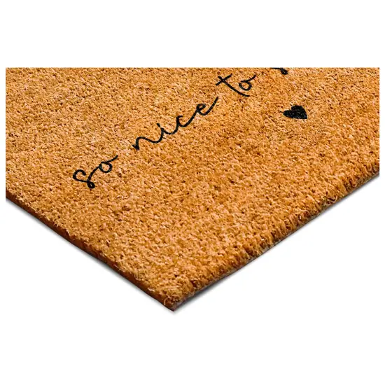 Calloway Mills So Nice To See You Doormat {7}