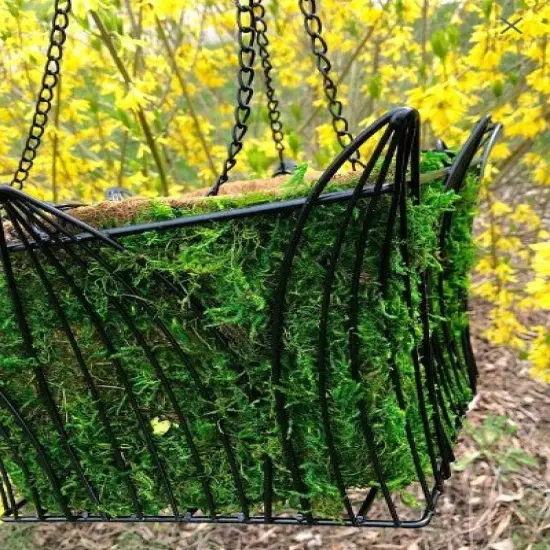 14" Metal and Coco Moss Hanging Basket - SQUARE {6}