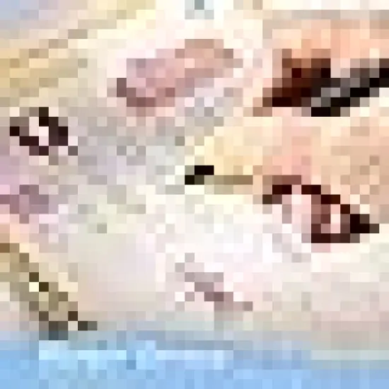 WEHUIFA 4 Pack Grooved Large Preschooler's Skills Workbooks Gift Set {4}