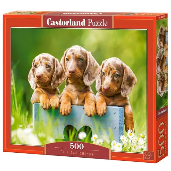 500 Piece Jigsaw Puzzle, Cute Dachshunds, Animal puzzle, Dogs, Puppies, Adult Puzzle, Castorland B-53605 {1}