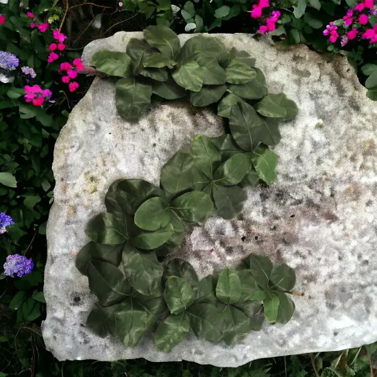 6-Foot Magnolia Leaf Christmas Garland with Realistic Silk Leaves - 2-Pack, Elegant Greenery for Home D&eacute;cor & Event Styling - Year-Round Charm, Floral Home by Artificial Flowers {3}