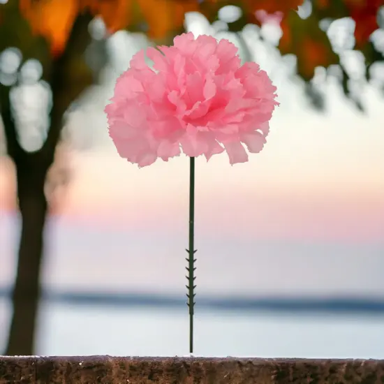 100-Pack: Pink Carnation Picks, 5" Stems, 3.5" Wide, Floral Home by Artificial Flowers {3}