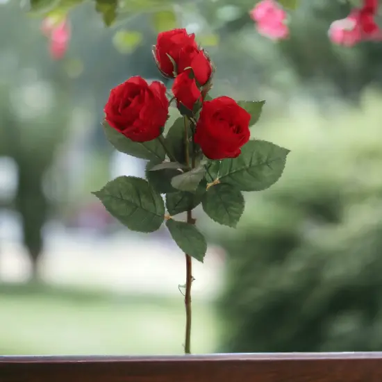 Red Rose Spray - 48-Pack, 5 Lifelike Silk Flowers Per Stem, Elegant Floral D&eacute;cor, Perfect for Arrangements, Events & Home - Ideal for All Seasons, Floral Home by Artificial Flowers {4}