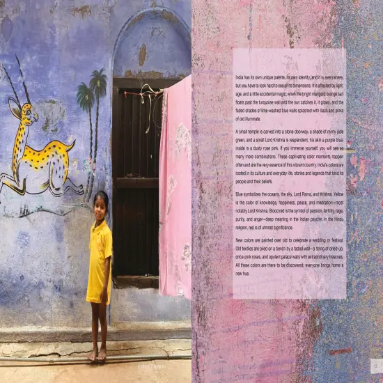 The Pigment Trail: Inspiration from the Colors, Textures, and People of India {3}