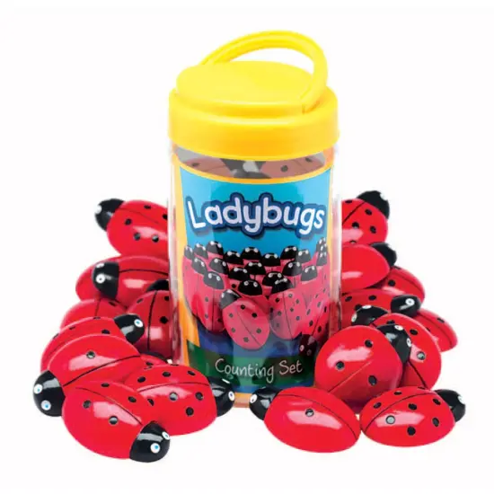 Yellow Door Ladybug Stones with Activity Cards {3}