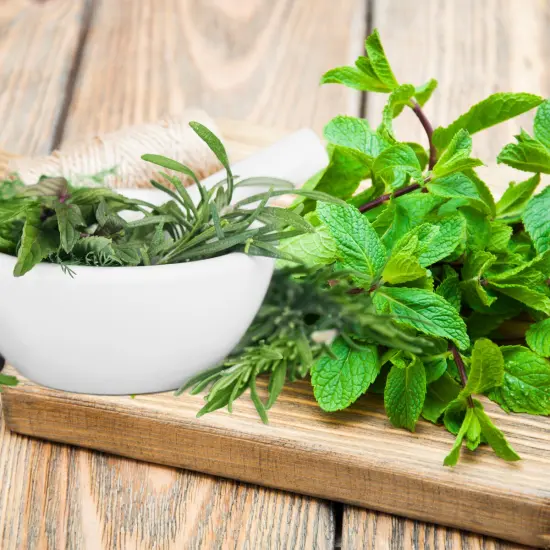 Basil Sage & Mint Fragrance Oil (Our Version of the Brand Name) (64 oz Jug) for Candle Making, Soap Making, Tart Making, Room Sprays, Lotions, Car Fresheners, Slime, Bath Bombs, Warmers&hellip; {2}