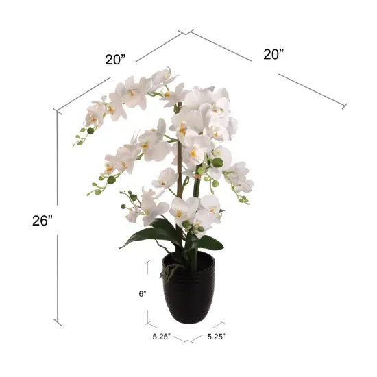 22-Inch Phalaenopsis Orchid Arrangement for Home and Office Floral D&eacute;cor, Floral Home by Artificial Flowers {2}