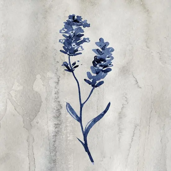 Indigo Botanical II by Conrad Knutsen - Item # VARPDX43306 {1}