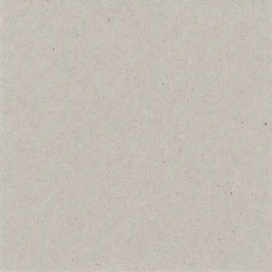 Bazzill Chipboard Sheets 6"X6"-Natural {1}