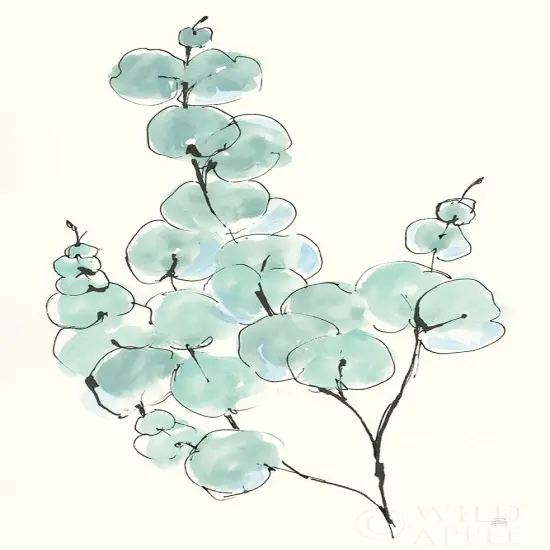 Eucalyptus Branch III Poster Print by Chris Paschke - Item # VARPDX55065 {1}