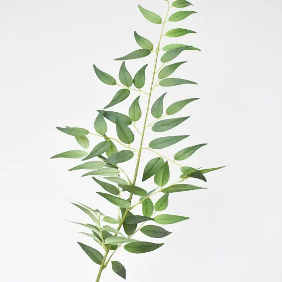36" Faux Italian Ruscus Stem {1}