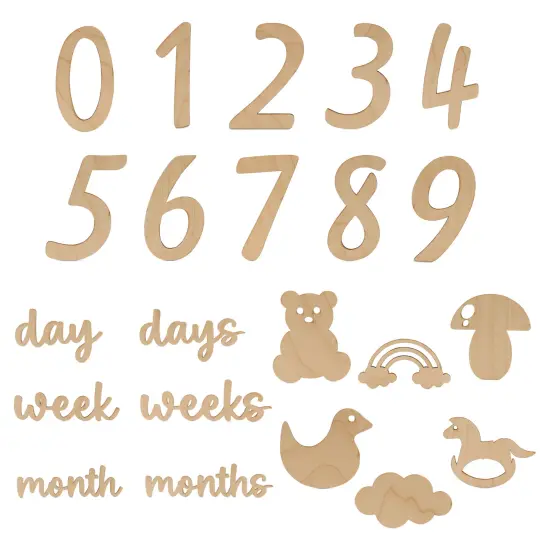 Baby Monthly Milestone Cards, Wooden Number Set of 22 Photo Props | Woodpeckers {1}