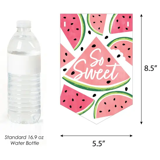 Big Dot of Happiness Sweet Watermelon - Birthday Party Bunting Banner - Party Decorations - Happy Birthday {3}