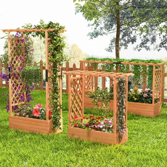 Raised Garden Bed With Arch Trellis-Orange {6}