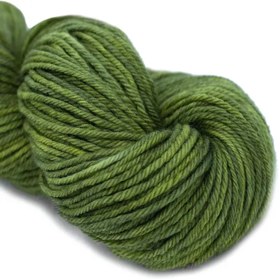 Living Dreams Purity: Organic Merino DK Yarn. Pacific Northwest Hand Dyed. Ginkgo {2}