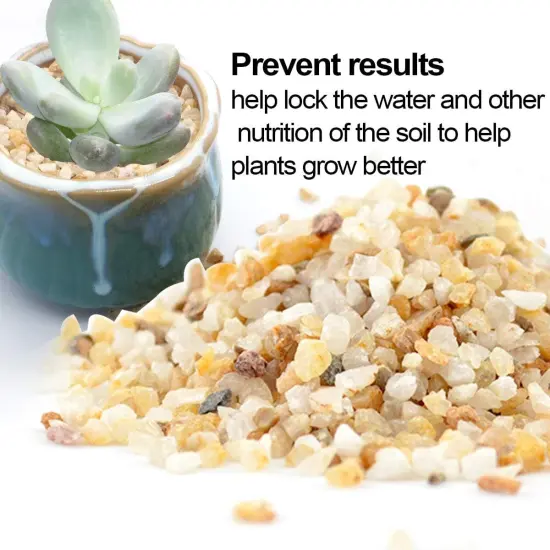 6Lbs Natural River Rocks, Succulent Cactus Gravel for Plants, Bonsai Decorative Pebbles, Planters Stones, Potting Grit for Gardening, Flower Pots, Vase Fillers, Indoor Water Fountains, Landscaping {5}