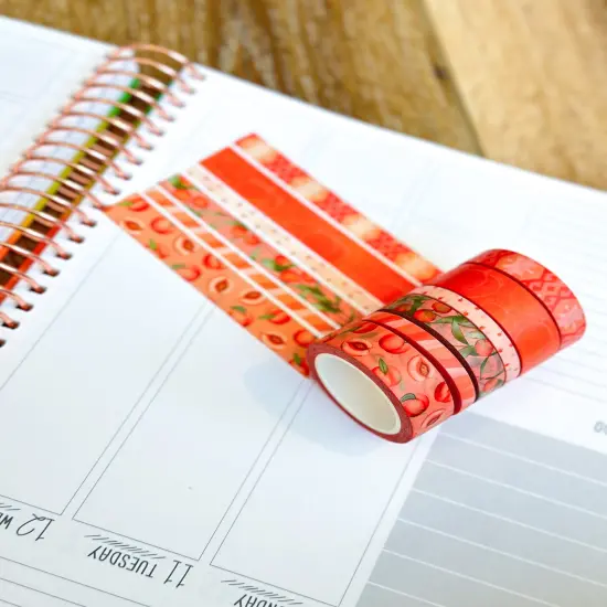 Peaches Orange Cream Peach Colored Spring Washi Tape Set June 2024 - W110 {6}