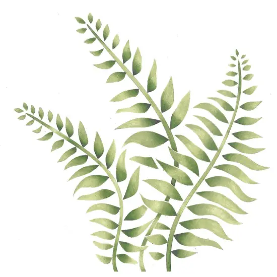 Triple Fern Wall Stencil | 2402 by Designer Stencils | Reusable Art Craft Stencils for Painting on Walls, Canvas, Wood | {1}