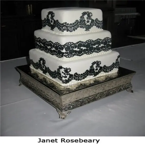 Alencon Lace Cake Stencil Middle Tier | C372 by Designer Stencils | Cake Decorating Tools | Baking Stencils for Royal Icing, Airbrush, Dusting Powder | Reusable Plastic Food Grade Stencil for Cakes | Easy to Use & Clean Cake Stencil {3}